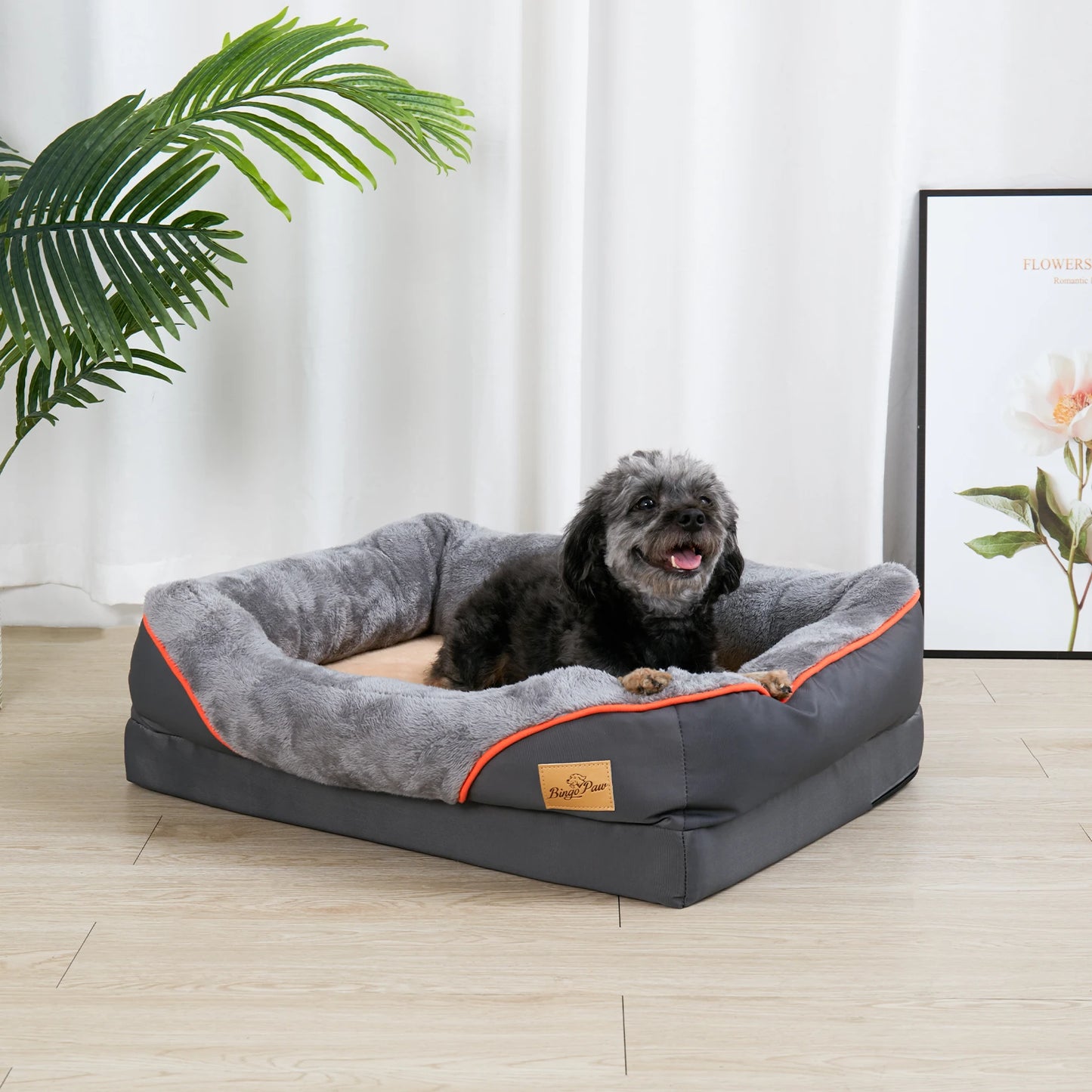 L XL 2XL 3XL Dog Bed Super Soft Orthopedic Foam Pet Bed  Removable Cover