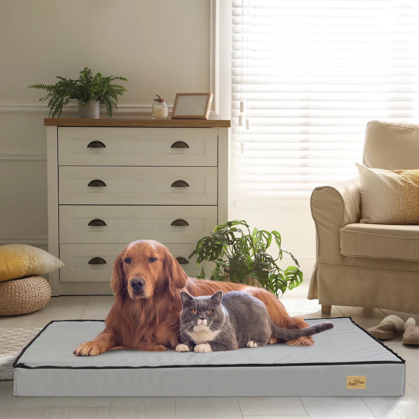 L XL 2XL 3XL Dog Bed Gray Orthopedic Pet   Foam Base Removable Cover